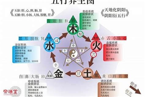 欠火的人|五行缺火的人該如何改運